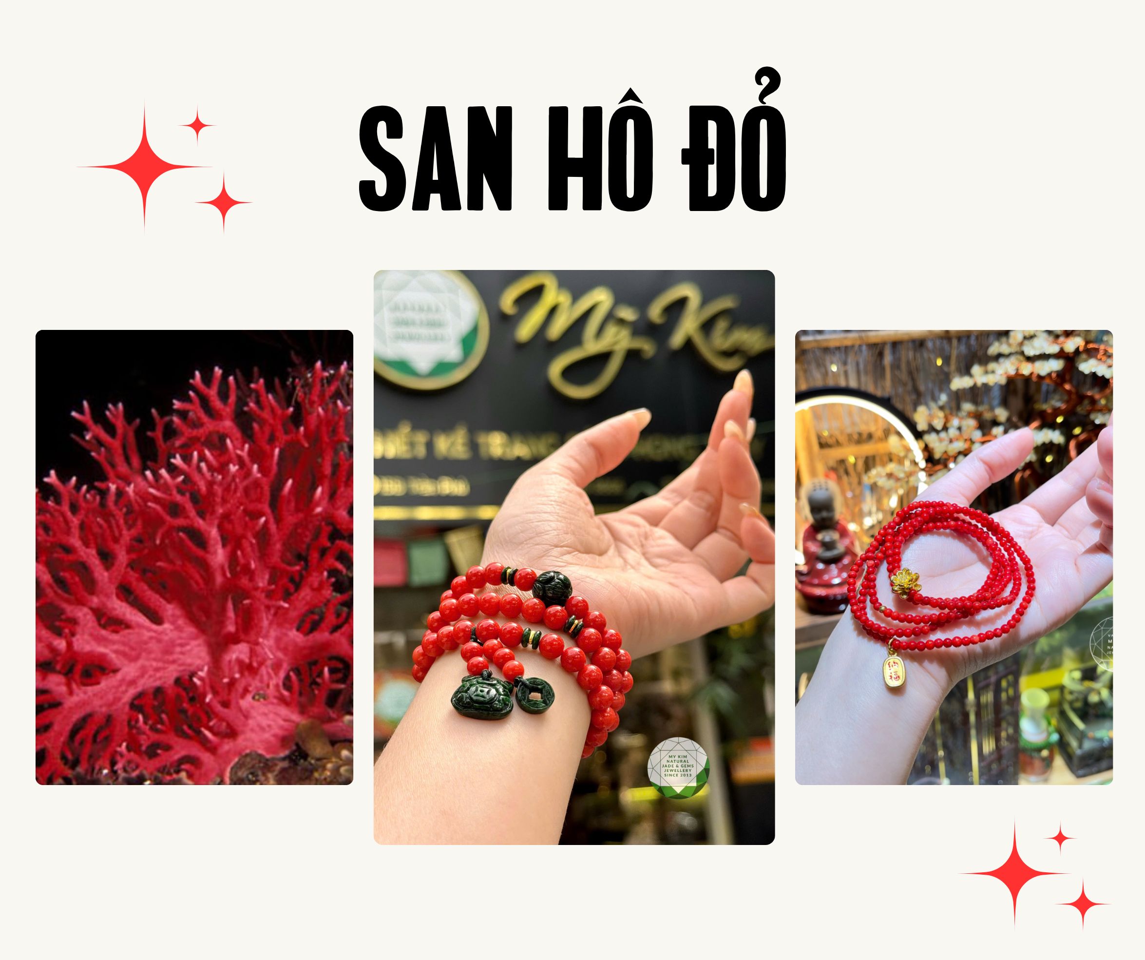 Đá San Hô Đỏ: Nguồn Gốc, Đặc Điểm và Ứng Dụng Trong Cuộc Sống
