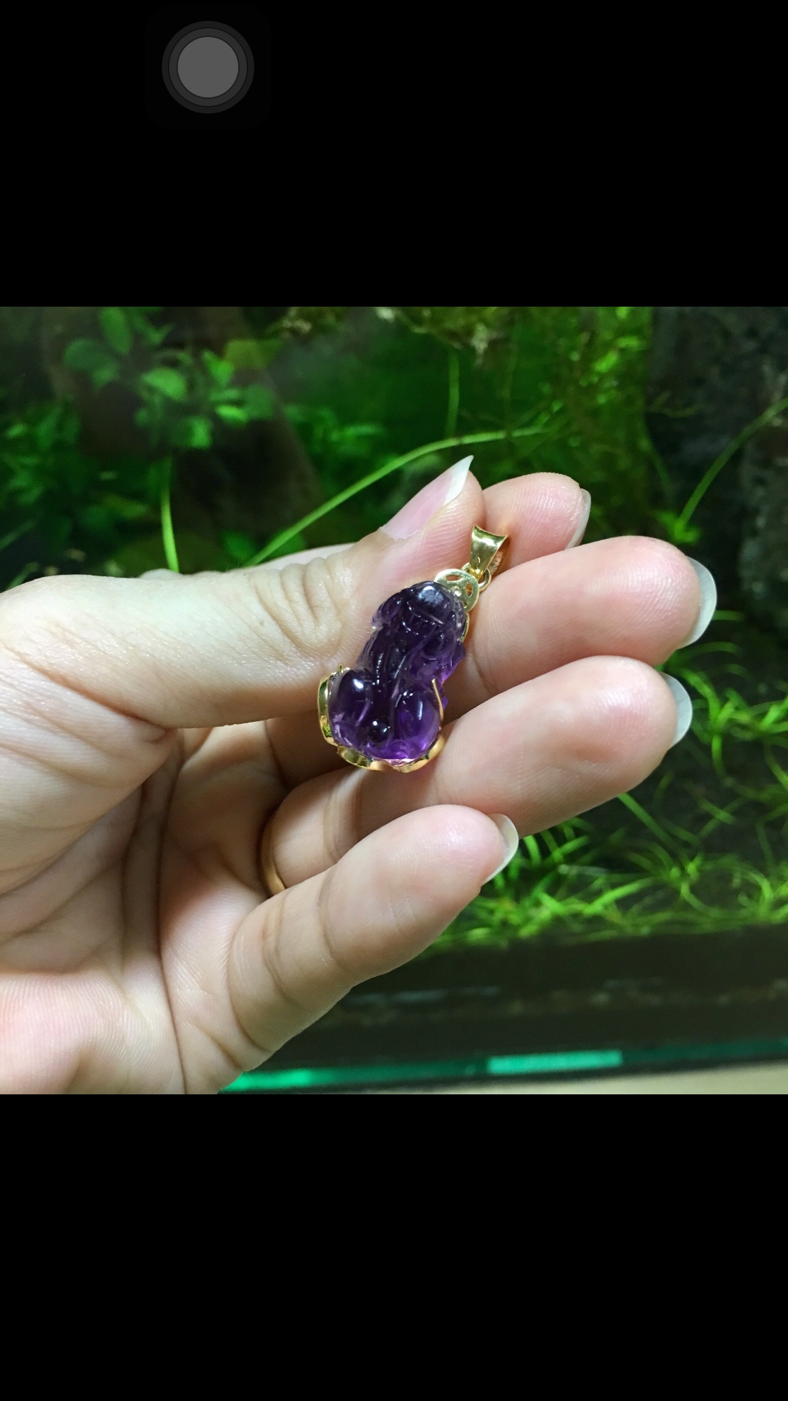 Mặt dây tỳ hưu thạch anh tím bọc vàng